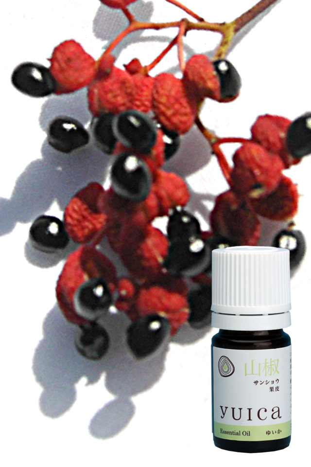 山椒　サンショウ　果皮